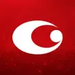 Neujahrs Festival | Bregenz, 07 - 11 JAN 2025