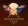 Card Casino Samorin | Poker Club